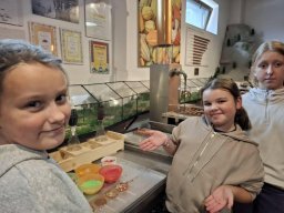 55952060612700025415943588989138219819289250n